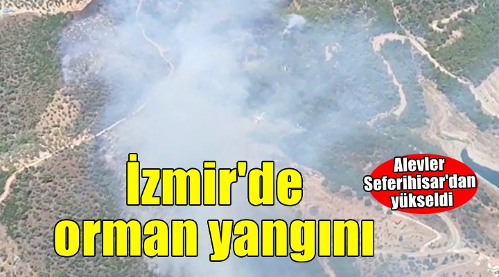 İzmir de orman yangını