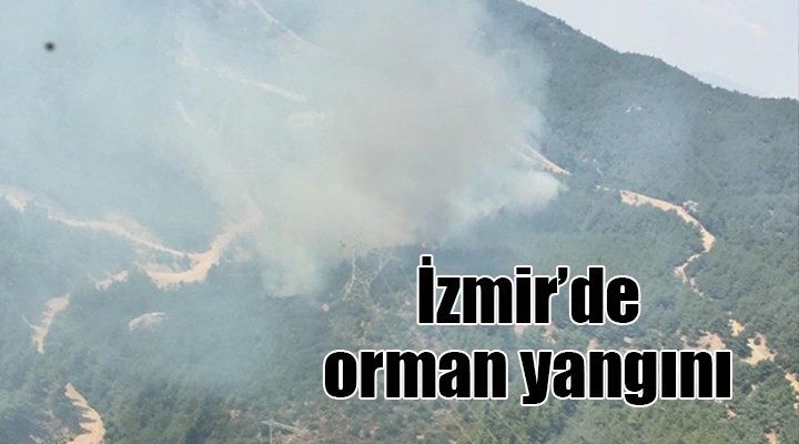 İzmir de orman yangını