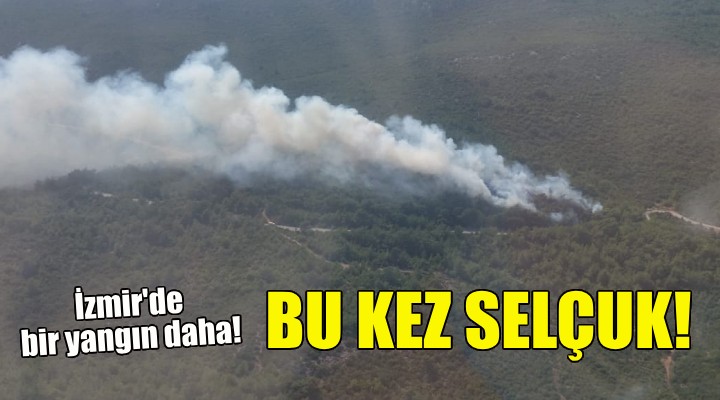 İzmir de orman yangını... Alevler bu kez Selçuk tan yükseldi!