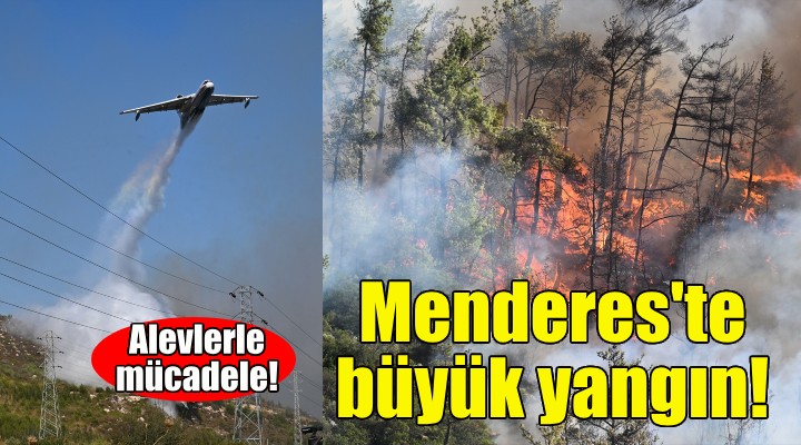 İzmir de orman yangını... Havadan ve karadan müdahale ediliyor!