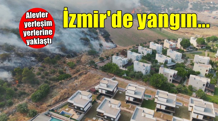 İzmir'de orman yangını... Alevler yerleşim yerlerine yaklaştı!
