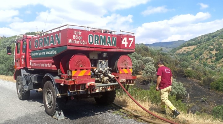 İzmir de orman yangını... Zeytin ağaçları zarar gördü