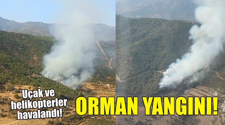 İzmir de orman yangını alarmı!