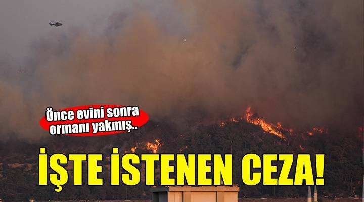 İzmir de orman yangınına neden olduğu öne sürülen sanığa 3 yıla kadar hapis talebi