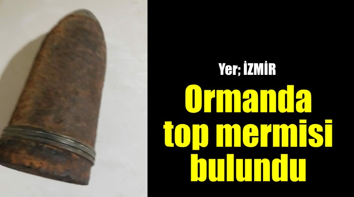 İzmir de ormanda bulunan top mermisi imha edildi