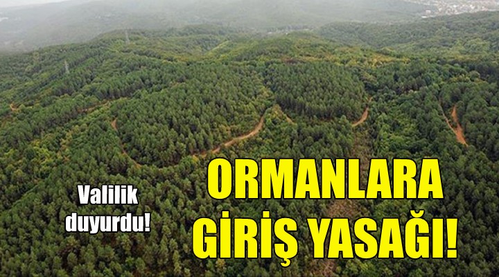 İzmir de ormanlara giriş yasağı!