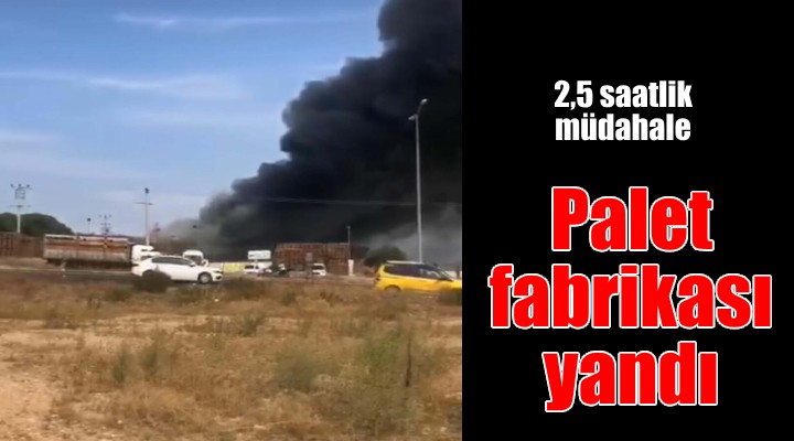 İzmir de palet fabrikasında yangın