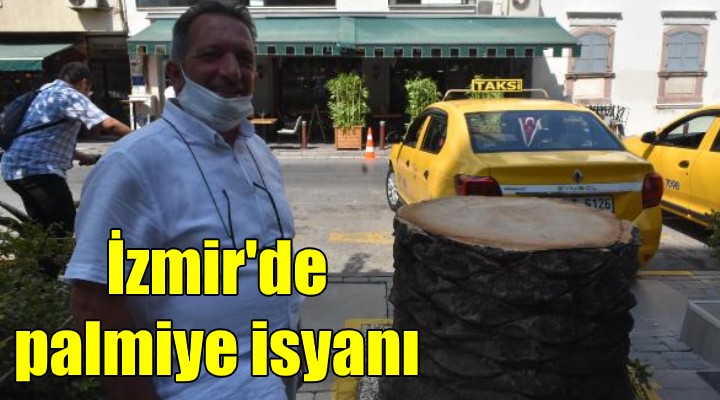 İzmir de palmiye isyanı!