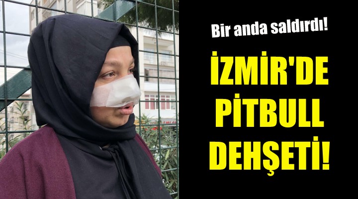 İzmir de pitbull dehşeti!