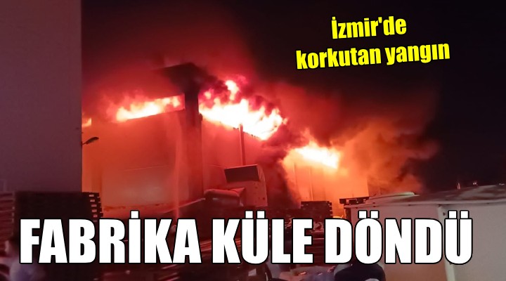 İzmir de polyester fabrikasında yangın...