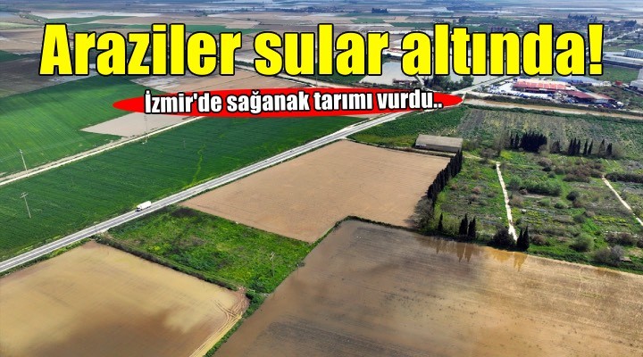 İzmir'de sağanak tarım arazilerini vurdu