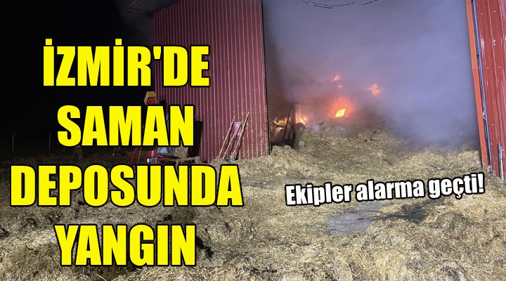 İzmir de saman deposunda yangın!