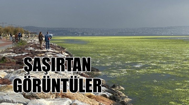 İzmir de şaşırtan görüntüler...