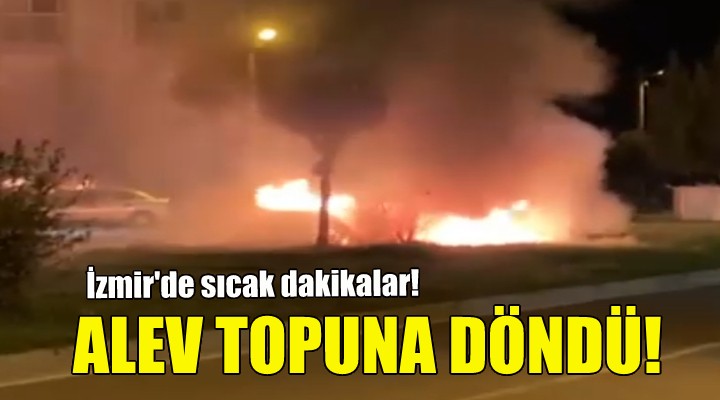 İzmir de sıcak dakikalar... Alev topuna döndü!