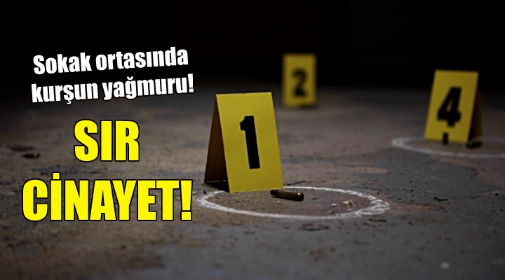İzmir de sır cinayet!