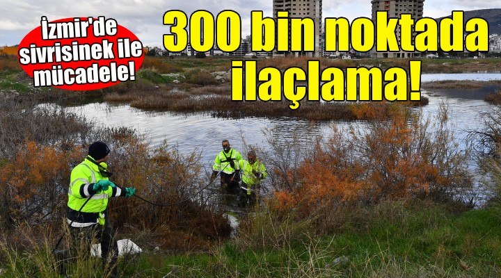 İzmir de sivrisinek ile mücadele... 300 bin noktada ilaçlama!