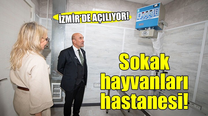 İzmir de sokak hayvanları hastanesi açılıyor