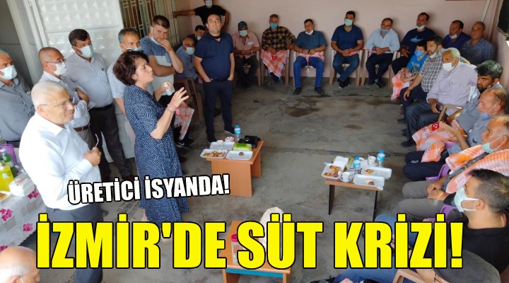 İzmir de süt krizi... ÜRETİCİ İSYANDA!