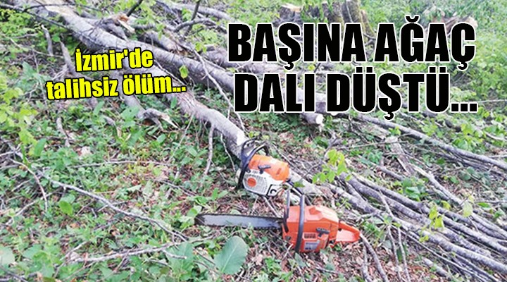 İzmir de talihsiz ölüm... Başına ağaç dalı düştü!