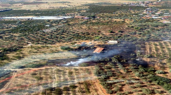 İzmir de tarım arazisinde yangın