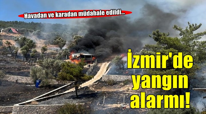 İzmir de tarım arazisinden ormanlık alana sıçrayan yangın kontrol altına alındı