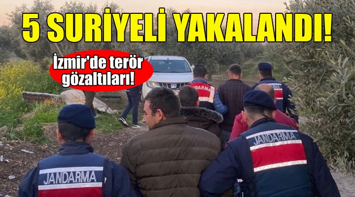 İzmir de terör gözaltıları... 5 Suriyeli yakalandı!