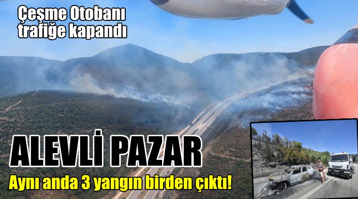 İzmir de üç orman yangını birden!
