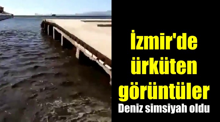 İzmir de ürküten görüntüler...