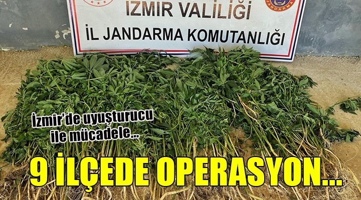 İzmir de uyuşturucu operasyonları...
