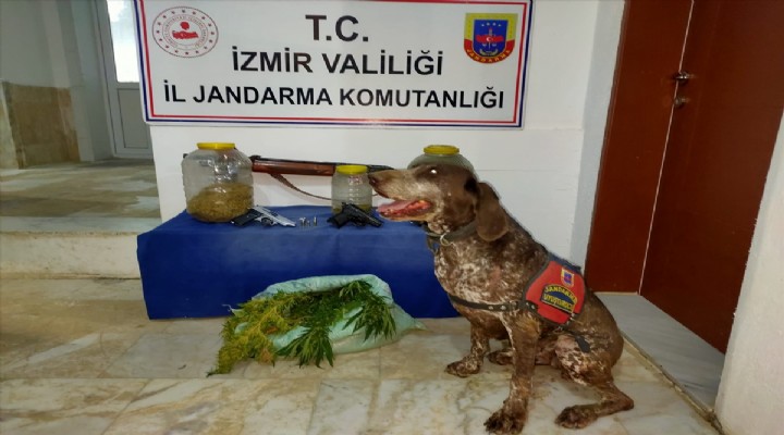 İzmir de uyuşturucu operasyonlarında 17 şüpheli yakalandı