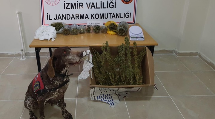 İzmir de uyuşturucu operasyonu: 7 gözaltı