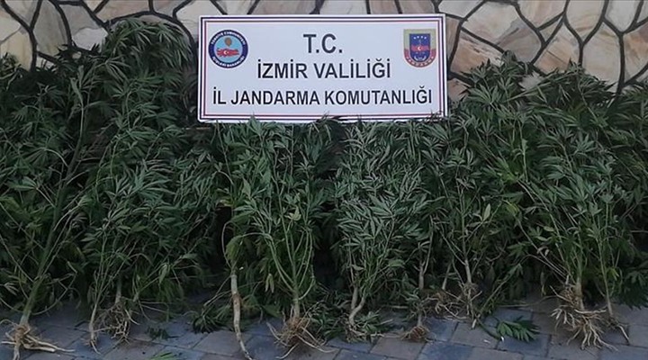 İzmir de uyuşturucu operasyonu