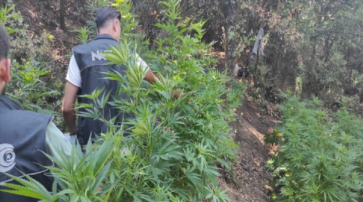İzmir de uyuşturucu operasyonunda 2 şüpheli yakalandı