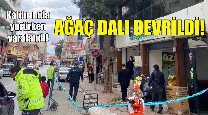 İzmir de üzerine ağaç dalı düşen kadın yaralandı!