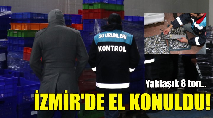 İzmir de yaklaşık 8 ton balığa el konuldu!