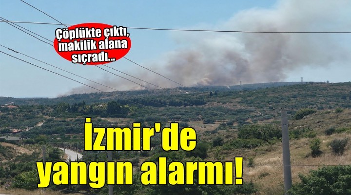 İzmir'de yangın alarmı! Çöplükteki yangın makilik alana sıçradı..