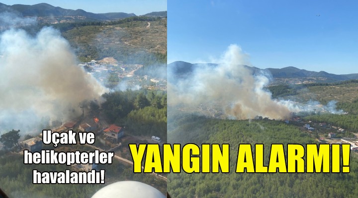 İzmir de yangın alarmı... Uçak ve helikopterler havalandı!
