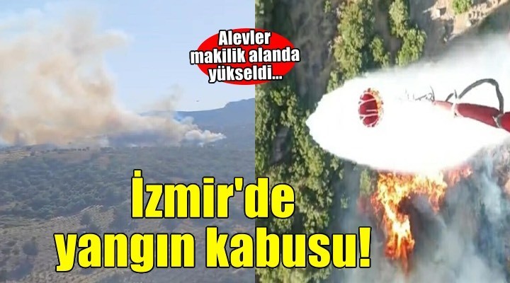 İzmir'de yangın kabusu!
