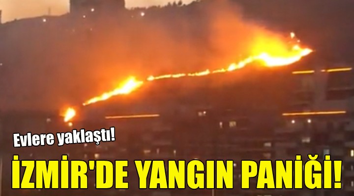 İzmir de yangın paniği!