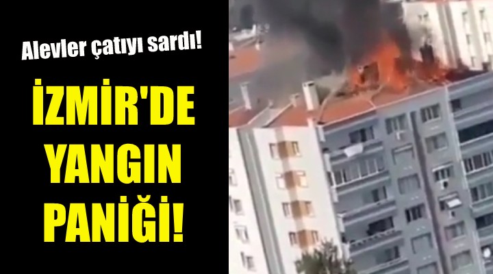 İzmir de yangın paniği!