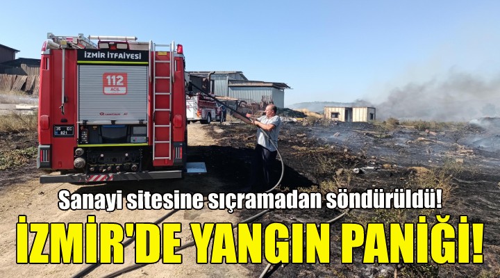 İzmir de yangın paniği!