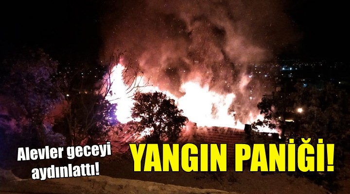 İzmir de yangın paniği!