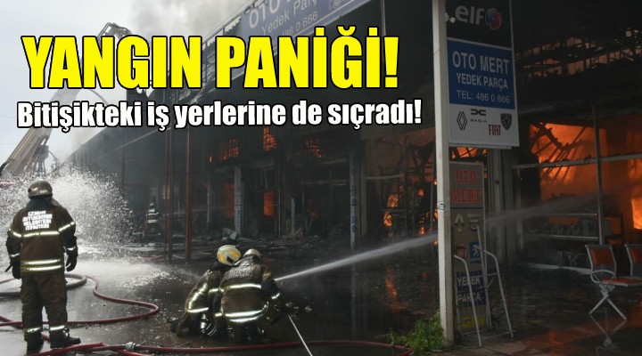 İzmir de yangın paniği!