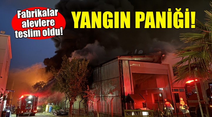 İzmir de yangın paniği!