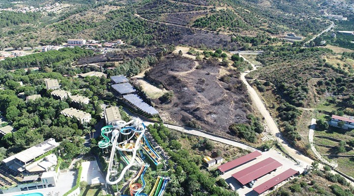 İzmir de yangın sonrası kahreden görüntüler