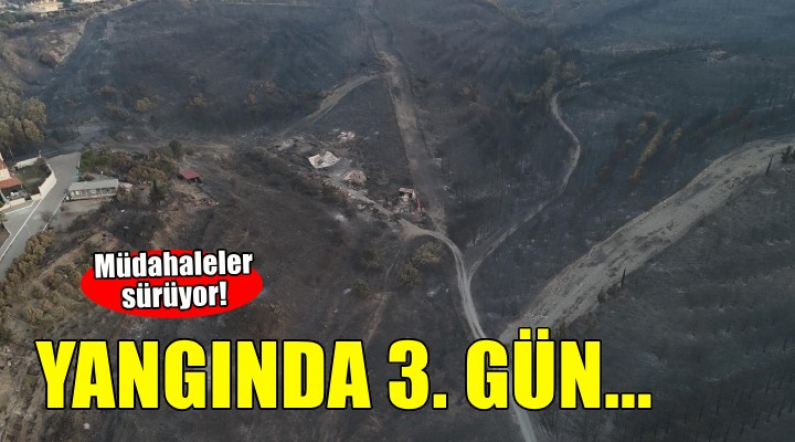 İzmir de yangının 3. günü... Müdahaleler sürüyor!