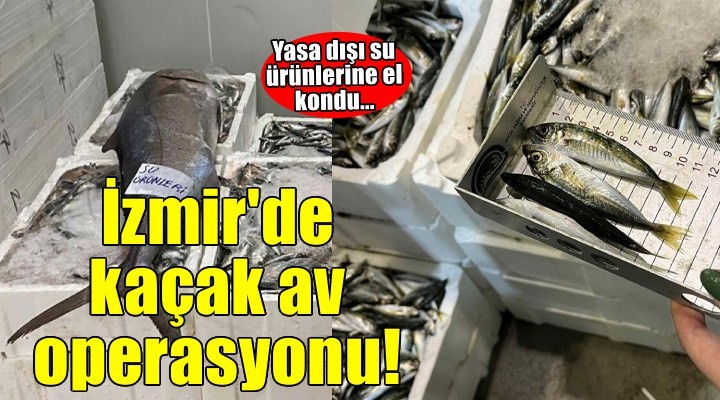 İzmir'de yasa dışı su ürünlerine el konuldu