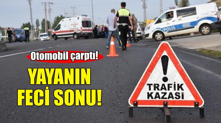 İzmir de yayanın feci sonu!