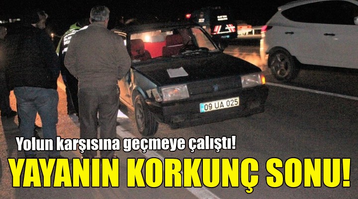 İzmir de yayanın korkunç sonu!