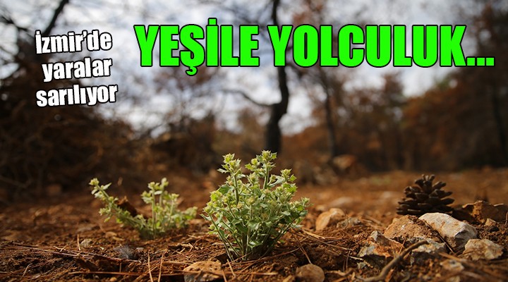 İzmir de yeşile yolculuk